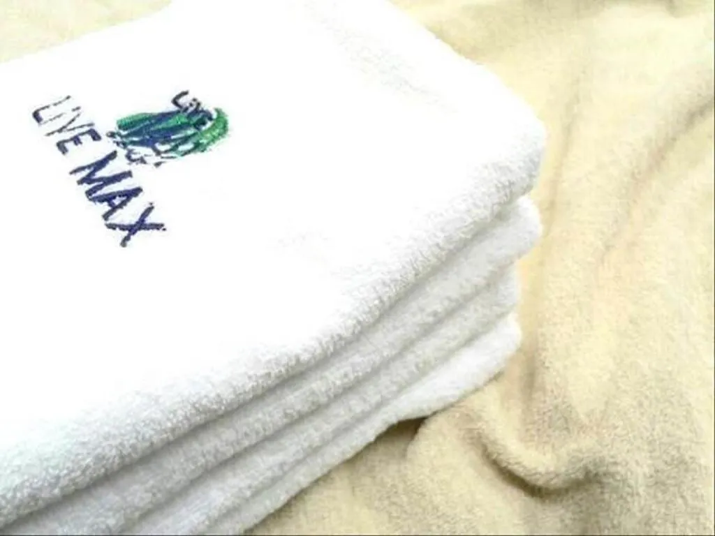 Hotel Livemax Budget Chitose Chitose  2*, Chitose (Hokkaido)